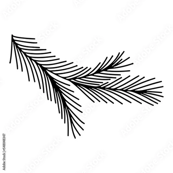 Obraz Christmas spruce tree branche. Christmas and holiday vector decoration. Pine or fir tree branche in hand drawn doodle style.