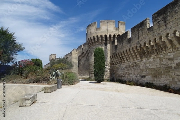 Fototapeta avignone