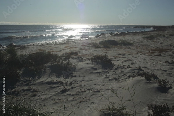 Obraz Wintersunset