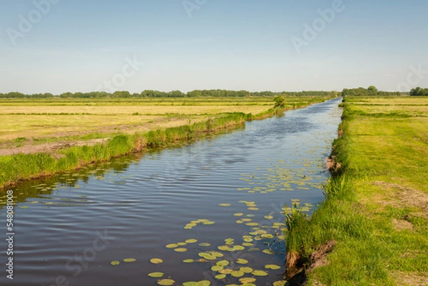 Obraz Oberblockland, Bremen. 