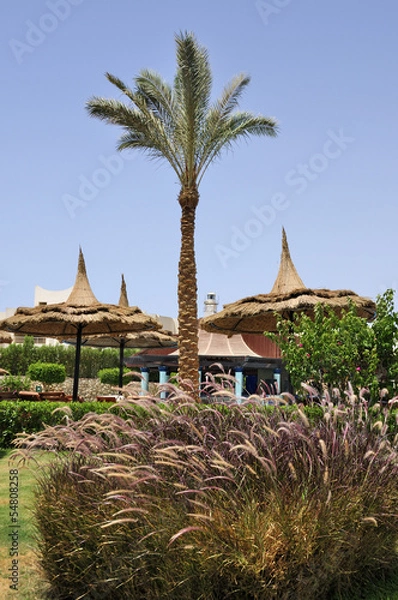 Obraz Sharm El Sheikh