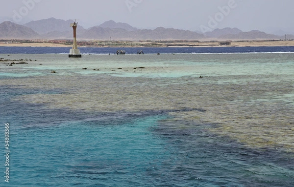 Obraz Red Sea Tiran