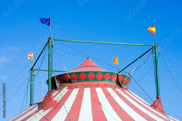 Obraz Carpa circo