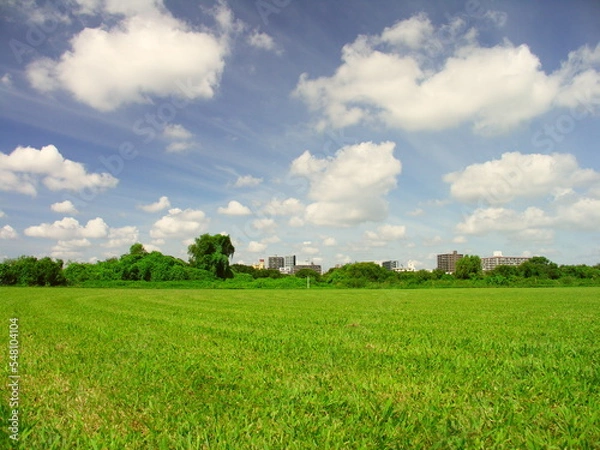 Fototapeta 初秋の平日の除草された江戸川河川敷の野球場風景