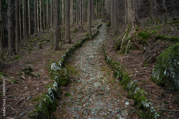 Fototapeta 石畳の道