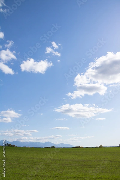 Fototapeta 秋の晴れた日の緑の麦畑と山並み　十勝岳連峰
