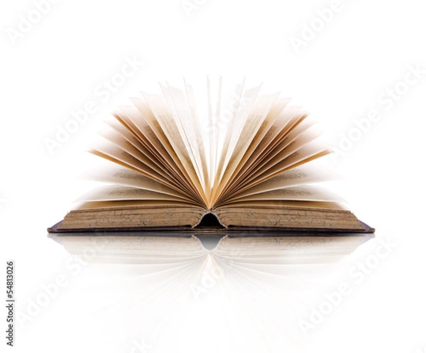 Fototapeta Old Book