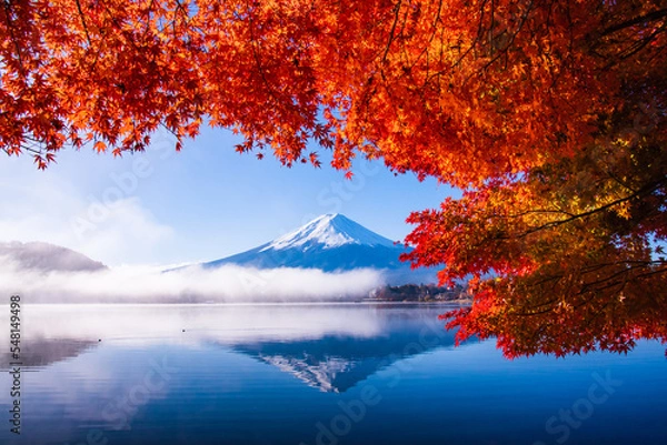 Obraz 富士山と紅葉