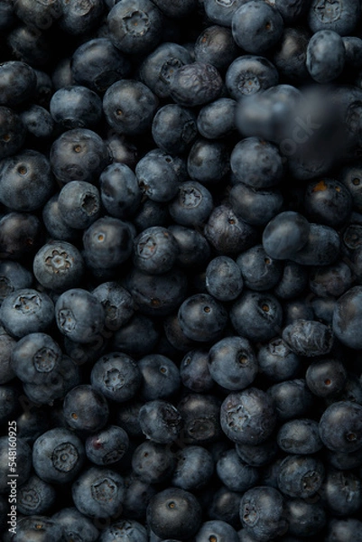 Obraz fresh blueberry full of frame, copy space, banner