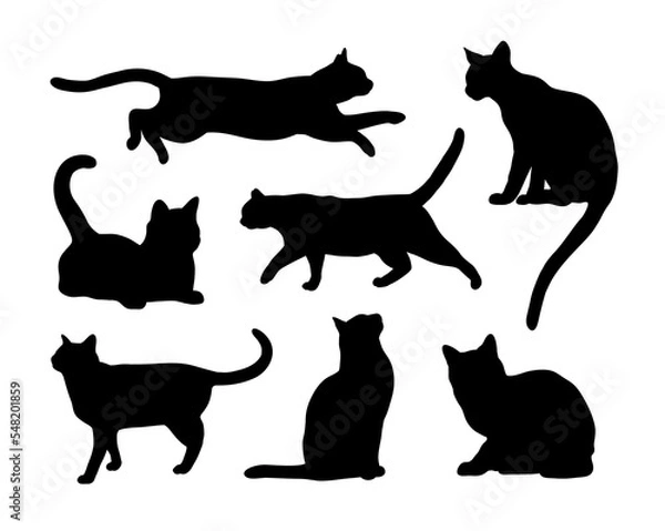 Fototapeta Black Cat Silhouette Abstract Set in different poses. Sitting, standing, running etc. Icon, Logo vector illustration.