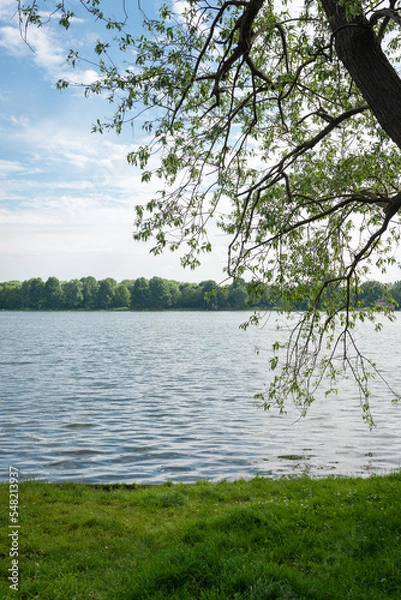 Obraz Stadtwaldsee, Bremen. 