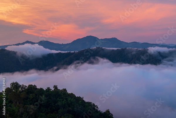Obraz fog over the mountains
