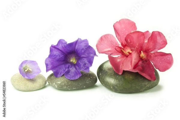 Fototapeta flower arrangement