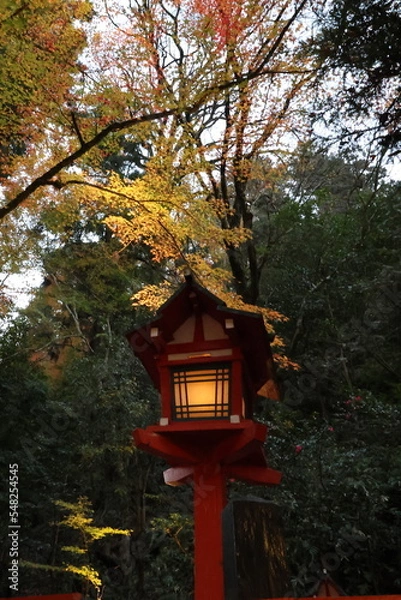 Fototapeta 京都　貴船神社の参道