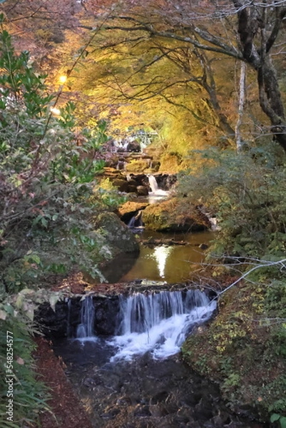 Fototapeta 京都　貴船神社の紅葉