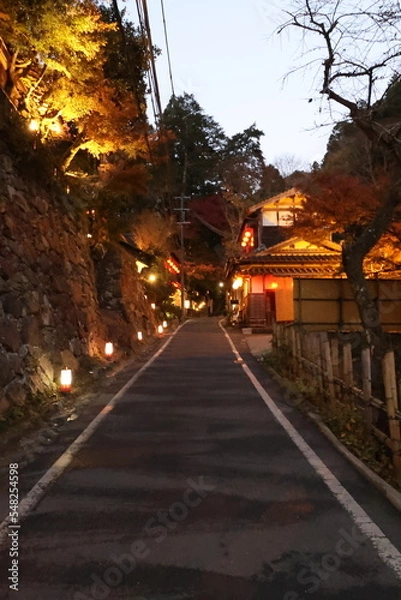 Fototapeta 京都　貴船神社の参道