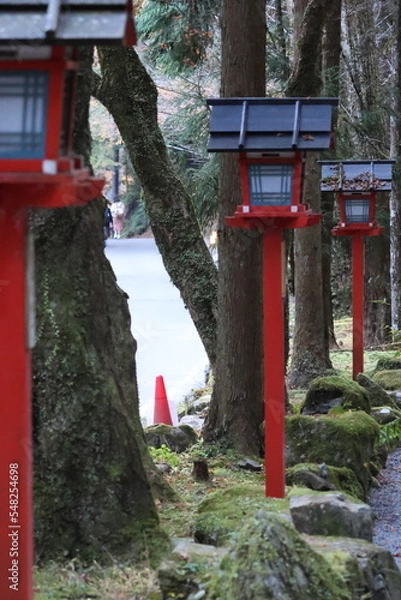 Fototapeta 京都　貴船神社の参道