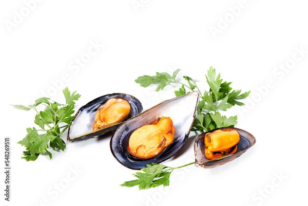 Fototapeta Three steamed mussels with parsley on a white background. Shell food