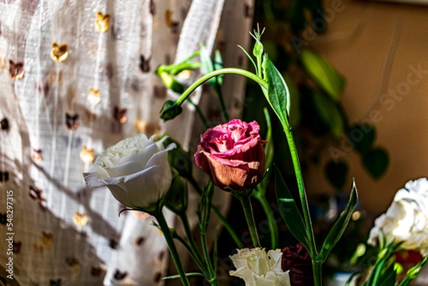 Obraz bouquet of eustomas