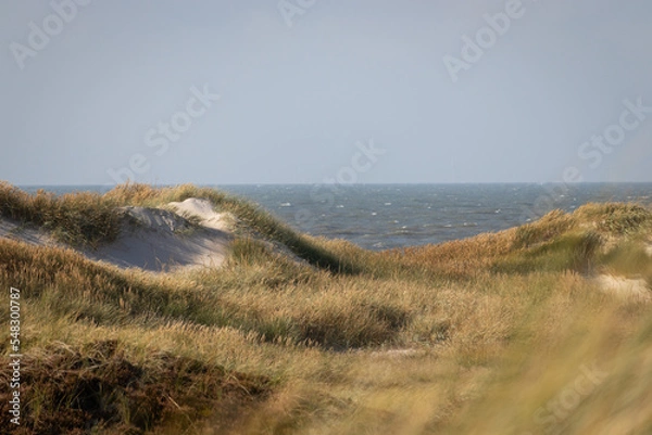 Fototapeta sand dunes and grass with ocean view