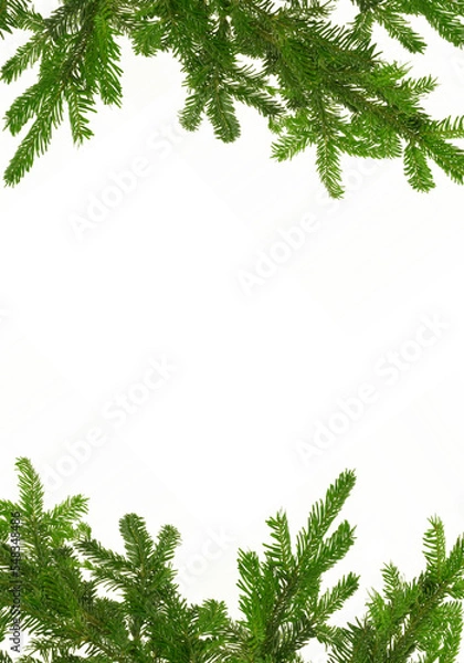 Obraz Fir branches on a white background, christmas or winter background
