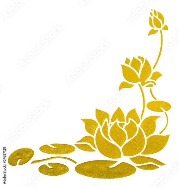 Fototapeta painting of lotus with clipping path