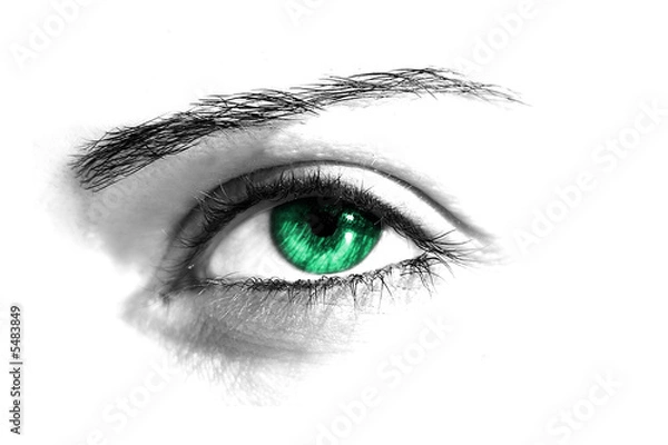 Obraz Eye