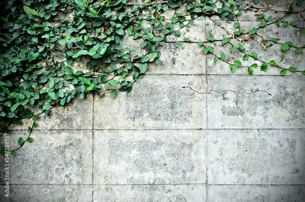 Fototapeta dark wall with the Velcro