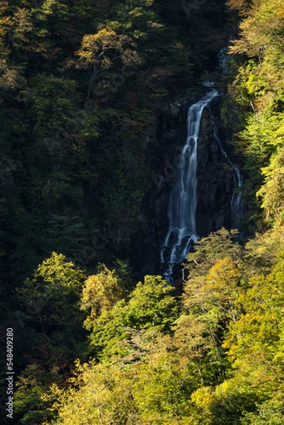 Fototapeta 滝のある風景