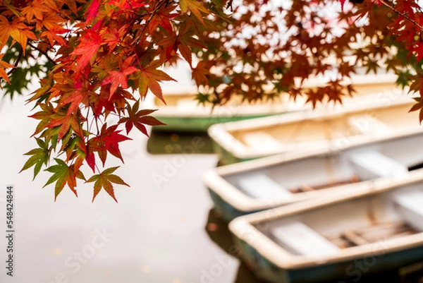 Obraz 赤く紅葉したもみじと池に浮かぶボート
