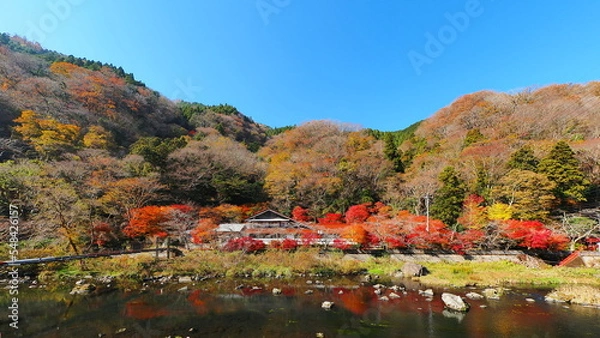 Obraz 秋の湯原温泉郷2