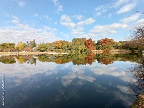 Fototapeta 空と池