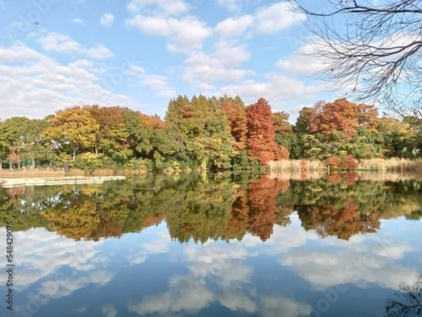 Fototapeta 映る風景