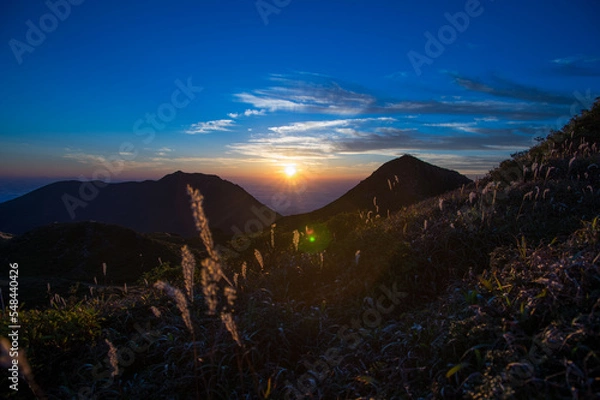 Fototapeta 秋晴れ