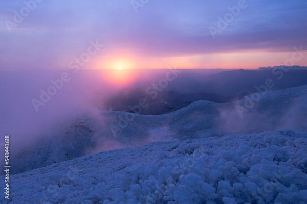 Fototapeta 紫の朝