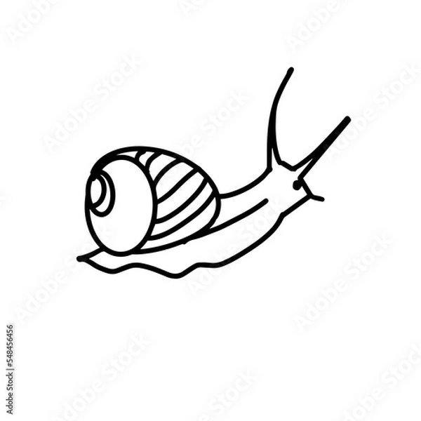Obraz Snail. Icon. Black and white vector illustration