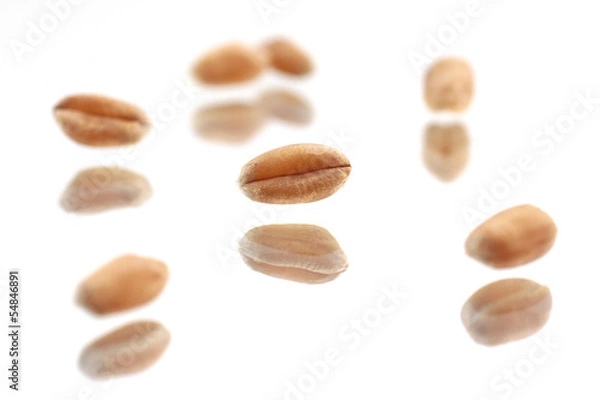 Fototapeta Weizenkörner