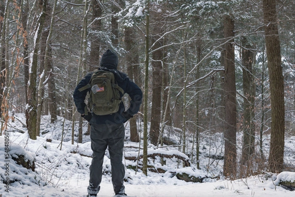 Fototapeta person walking in winter forest