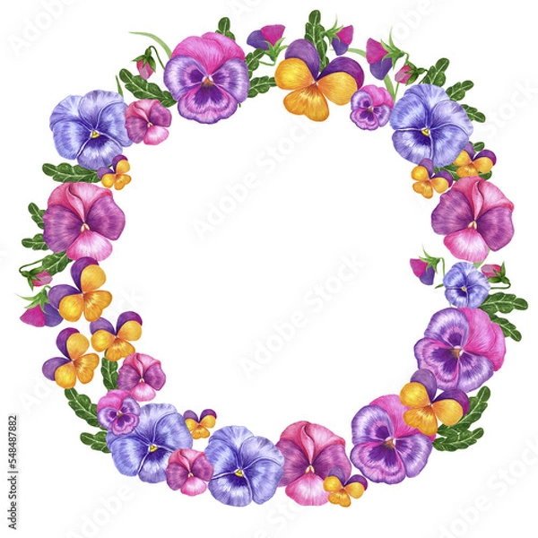Fototapeta Frame, wreath Pansies watercolor flowers on a white isolated background, botanical illustration for cards, invitations, banners