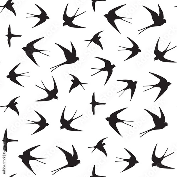 Fototapeta Swallow bird vector seamless pattern.