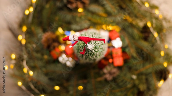 Fototapeta Elf on top of Christmas Tree 