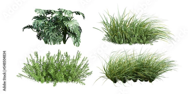 Fototapeta grass isolated on white