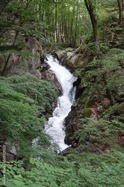 Fototapeta 滝川渓谷