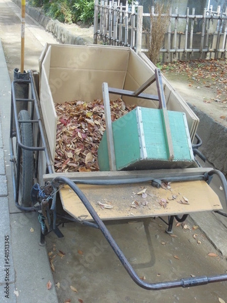 Fototapeta 落ち葉掃き