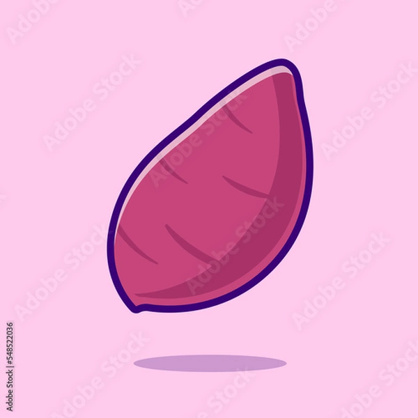 Obraz hand drawn illustration of an sweet potato