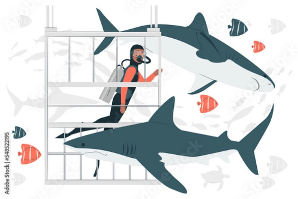 Obraz shark in the sea