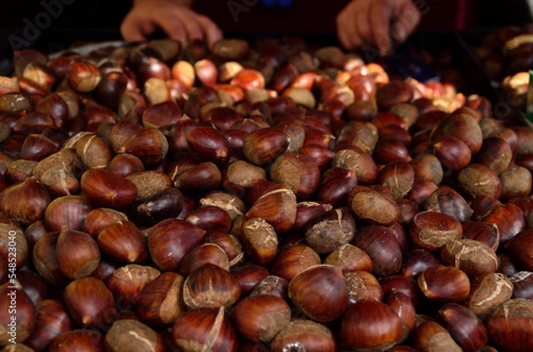 Obraz roasted chestnuts
