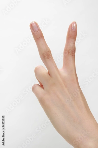 Fototapeta ピース