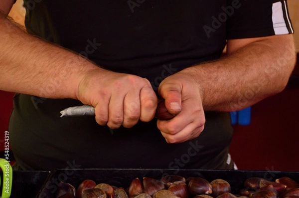 Obraz hands peeling or cutting roasted chestnuts
