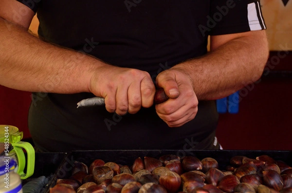 Obraz hands peeling or cutting roasted chestnuts
